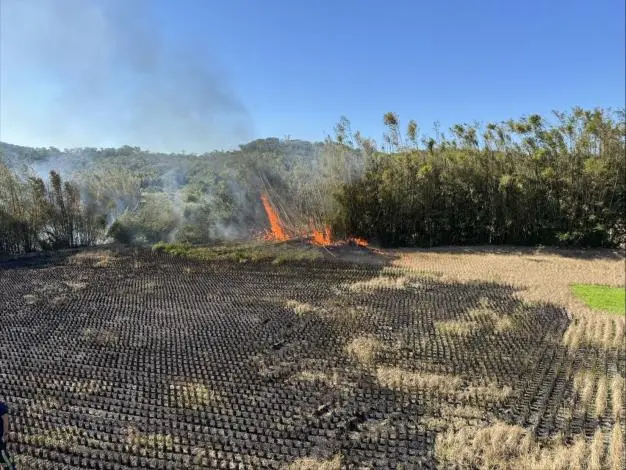 通霄竹林大火!2千平方公尺陷火海 消防局警告:露天焚燒最高罰500萬