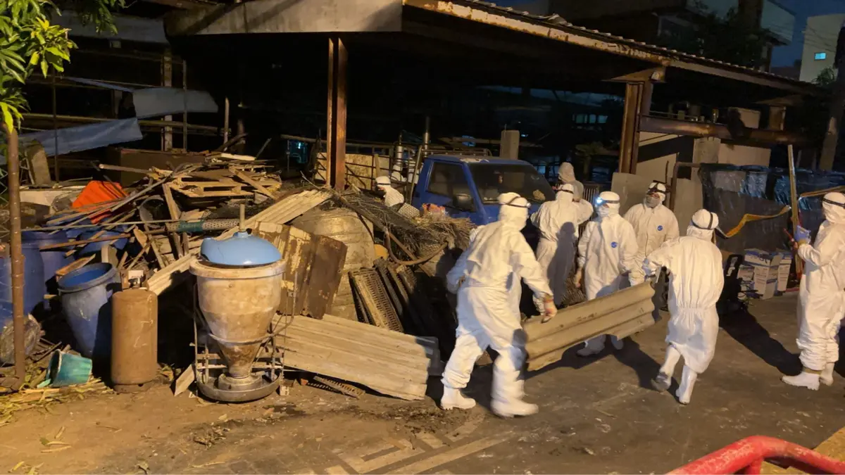 台中非洲豬瘟防疫告急!案場髒亂超乎預期,國軍百人深夜緊急增援