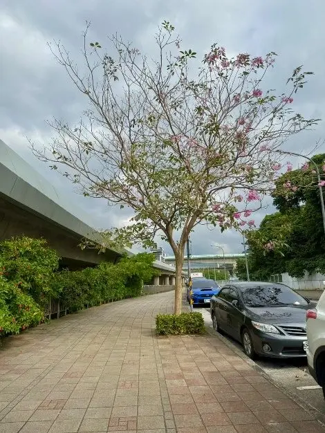 圖片來源:臺北市政府