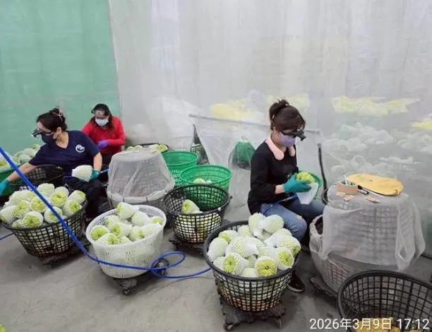 圖片來源：臺東縣警察局