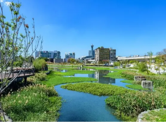 台中之光!美樂地計畫橫掃景觀奧斯卡4大獎,這些得獎公園你逛過了嗎?