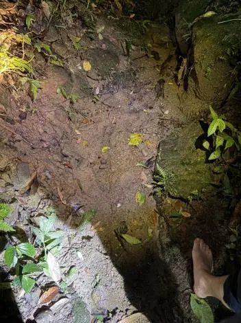 獅潭蓮臺山憾事！民眾清理渠道失足 尋獲時已成冰冷遺體