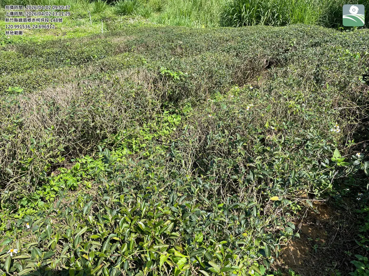 圖片來源:新竹縣政府