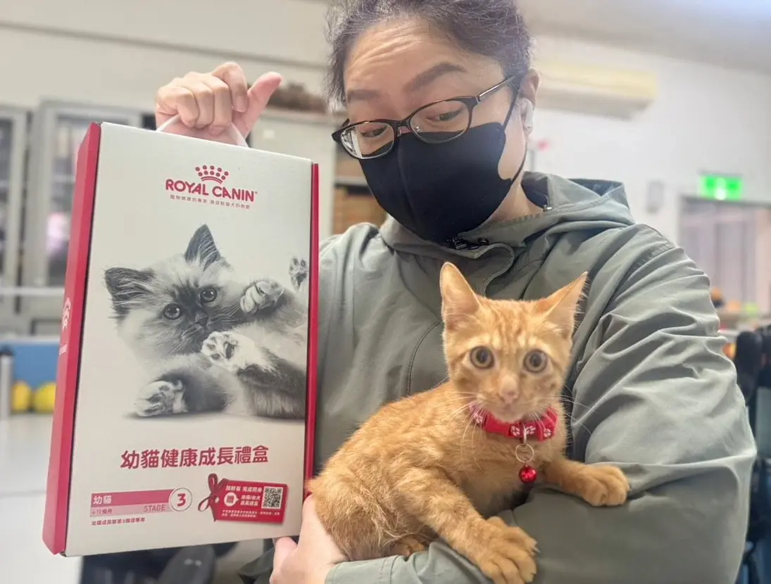 圖片來源:新北市政府