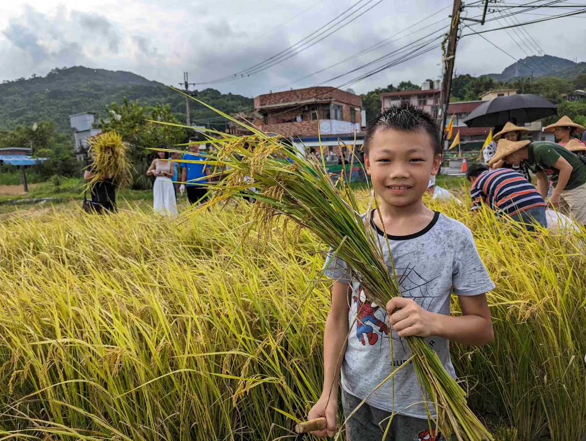圖片來源:新北市政府