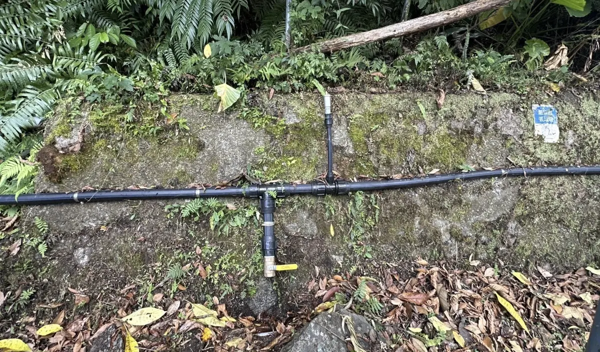 圖片來源:新北市政府