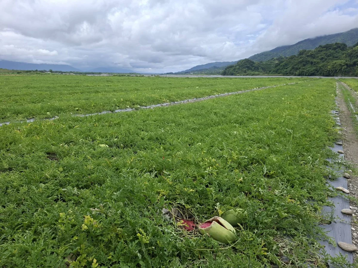 圖片來源:花蓮縣政府