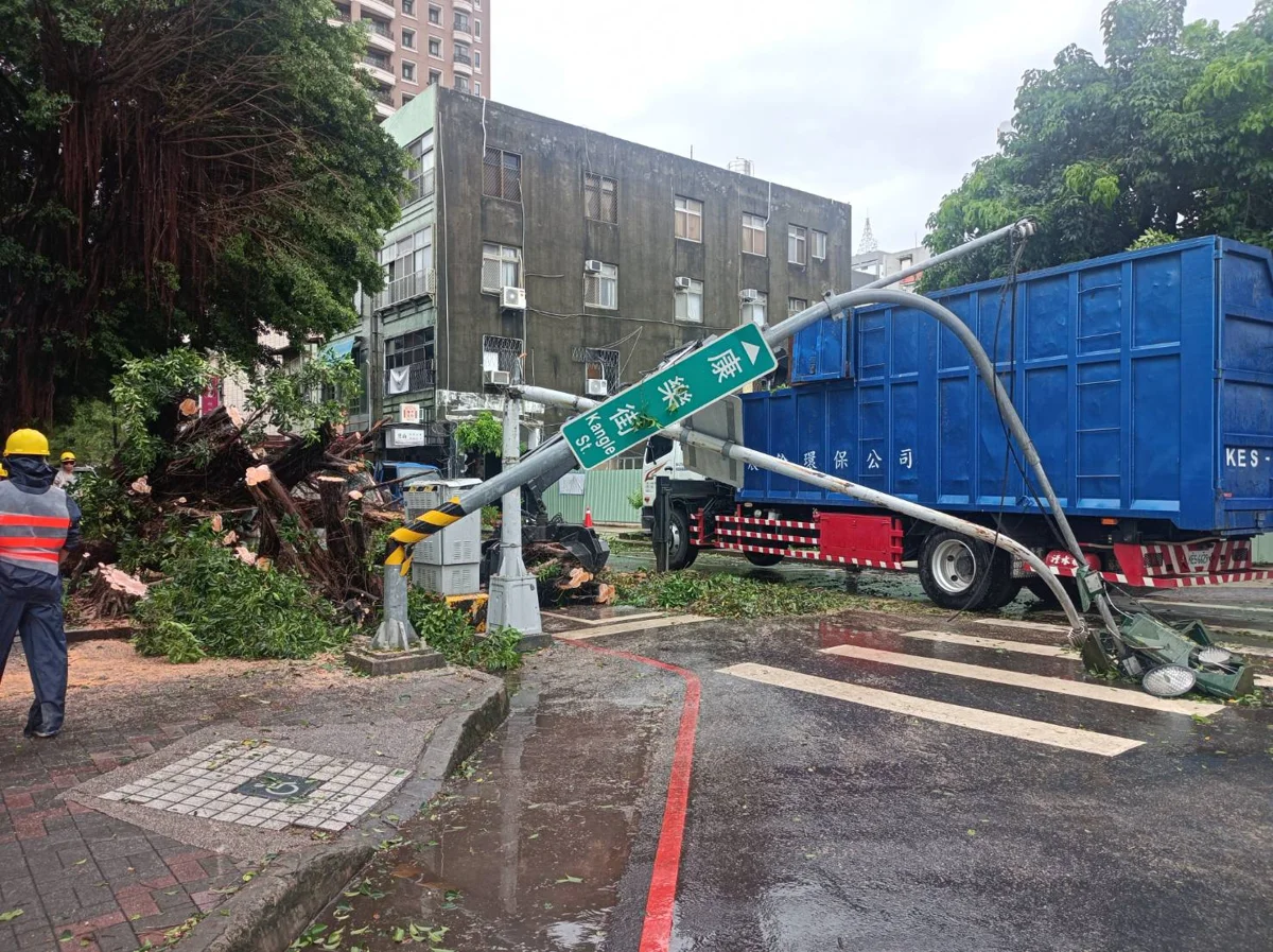 西區府後街13棵病死榕樹大換血!改種黃連木搭配人行道翻新全面升級