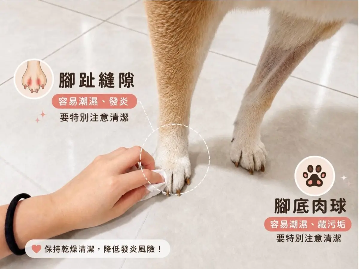 圖片來源:新北市政府