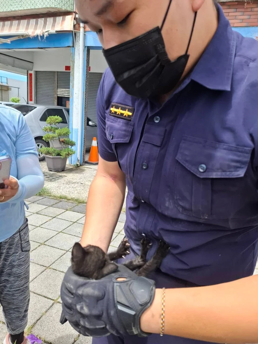 圖片來源:臺東縣政府
