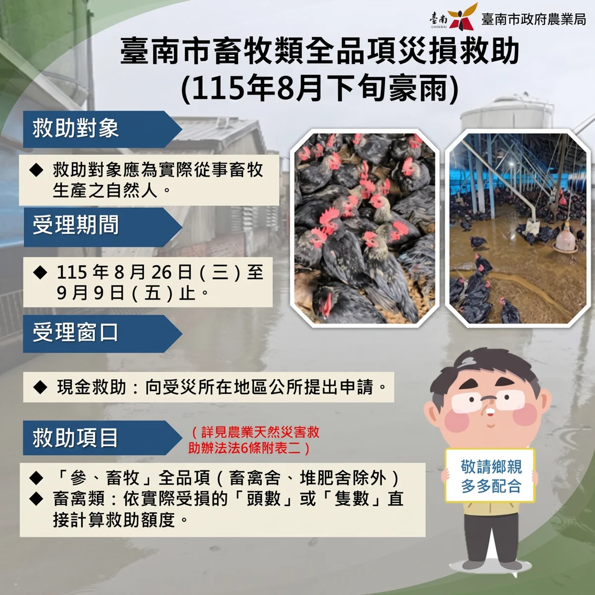 台南8月豪雨畜牧災損救助開跑!申請期限至9/9,農友快備妥這6項文件