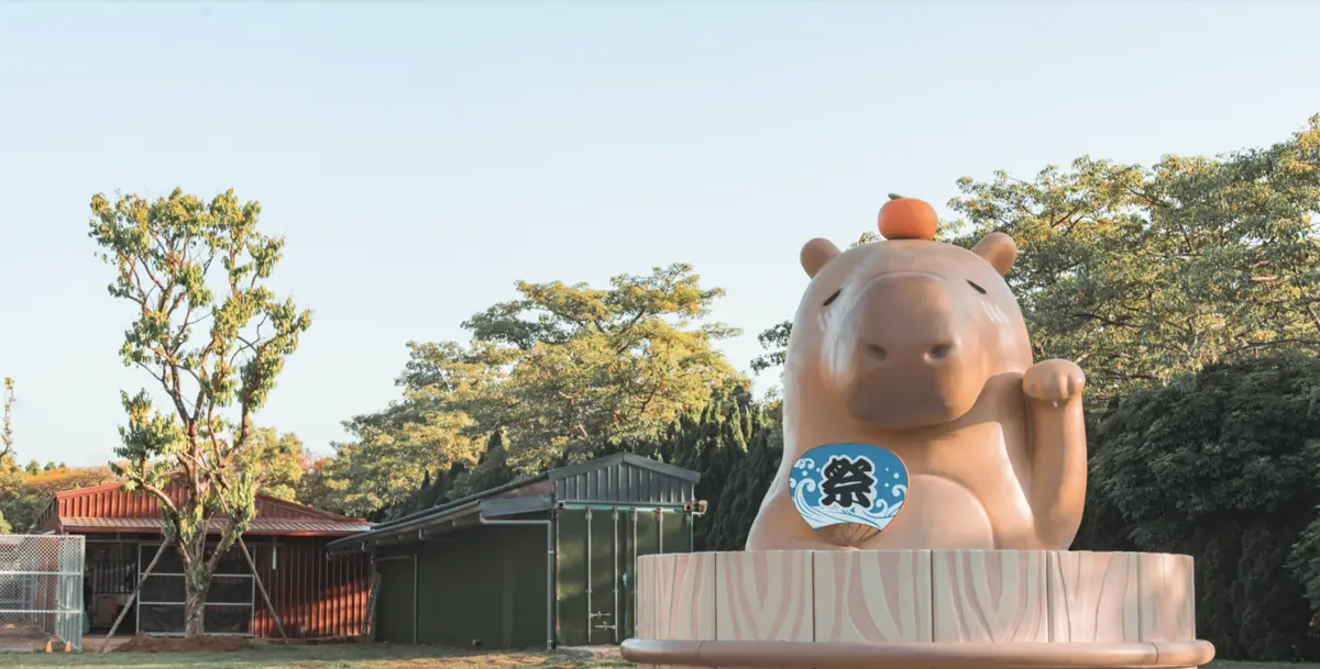 「豚神」裝置藝術亮相,桃園埔心牧場打造新景點