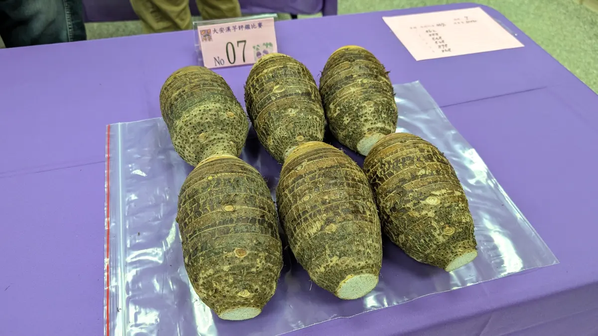 圖片來源:臺中市政府