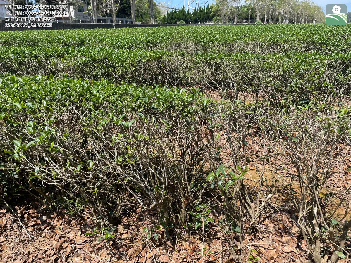 圖片來源:新竹縣政府