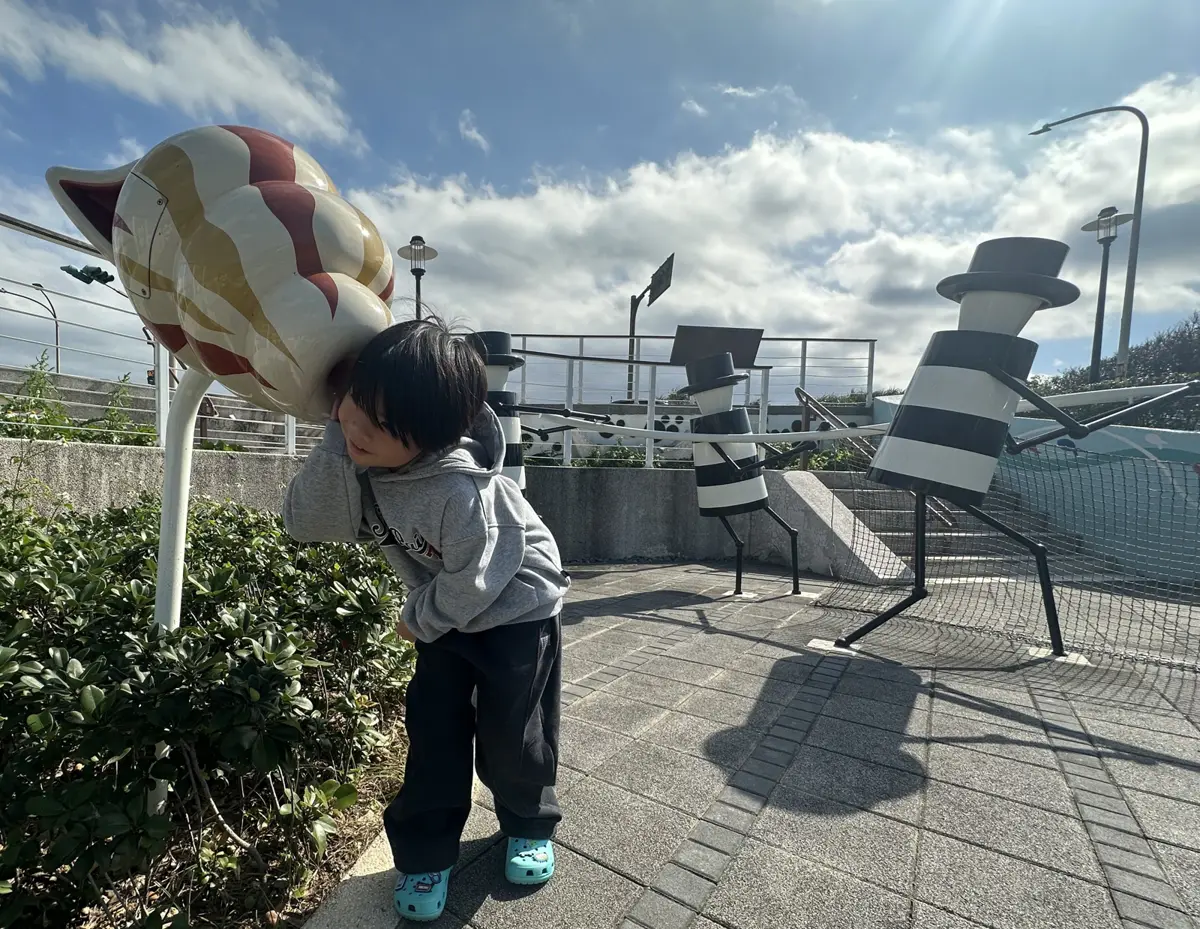 圖片來源:新北市政府