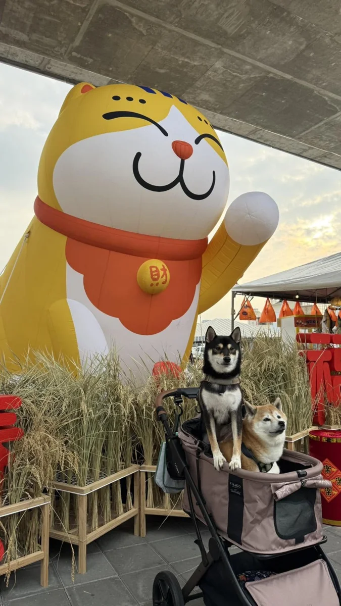 圖片來源:屏東縣政府