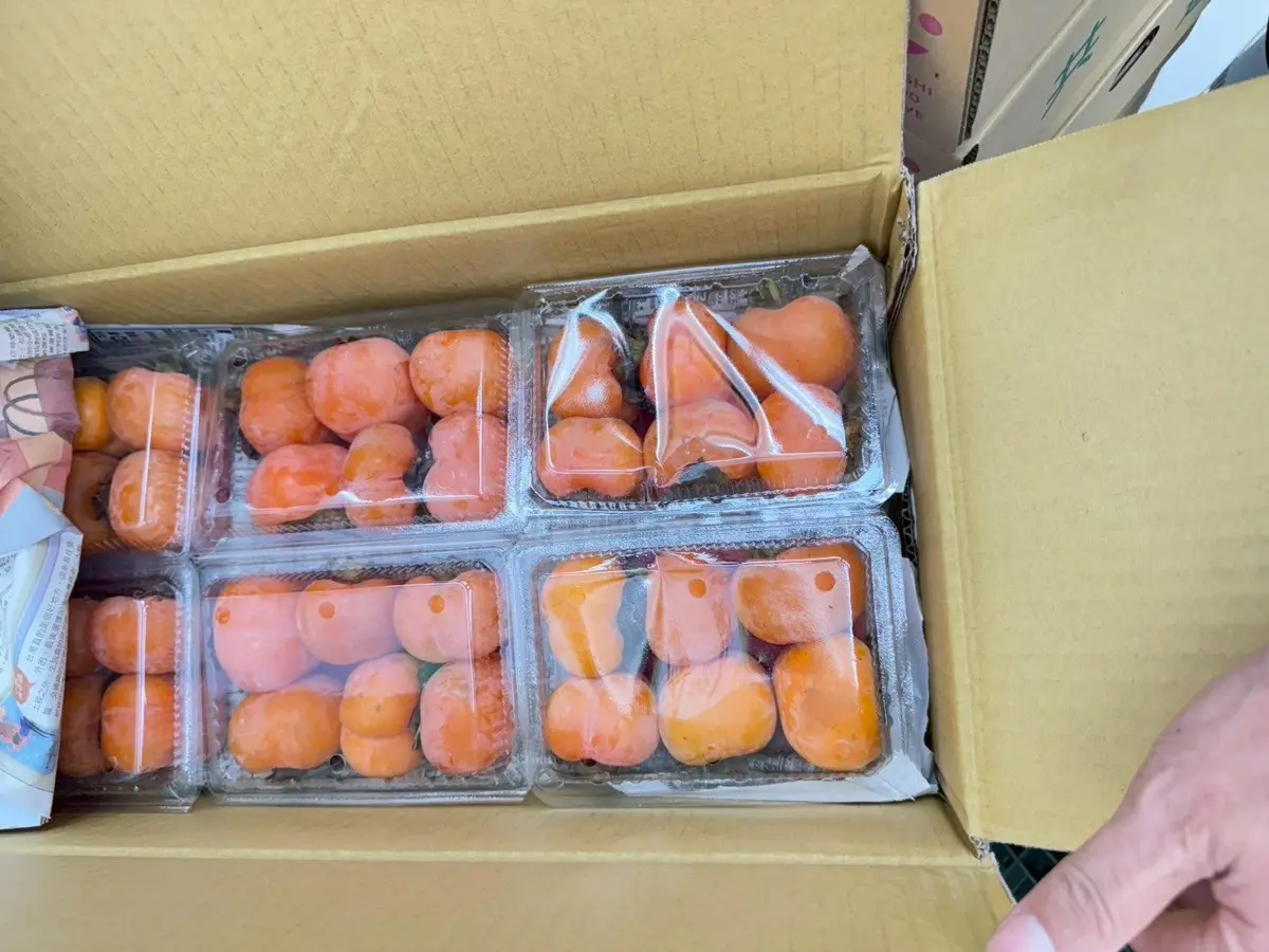 圖片來源:臺北市政府