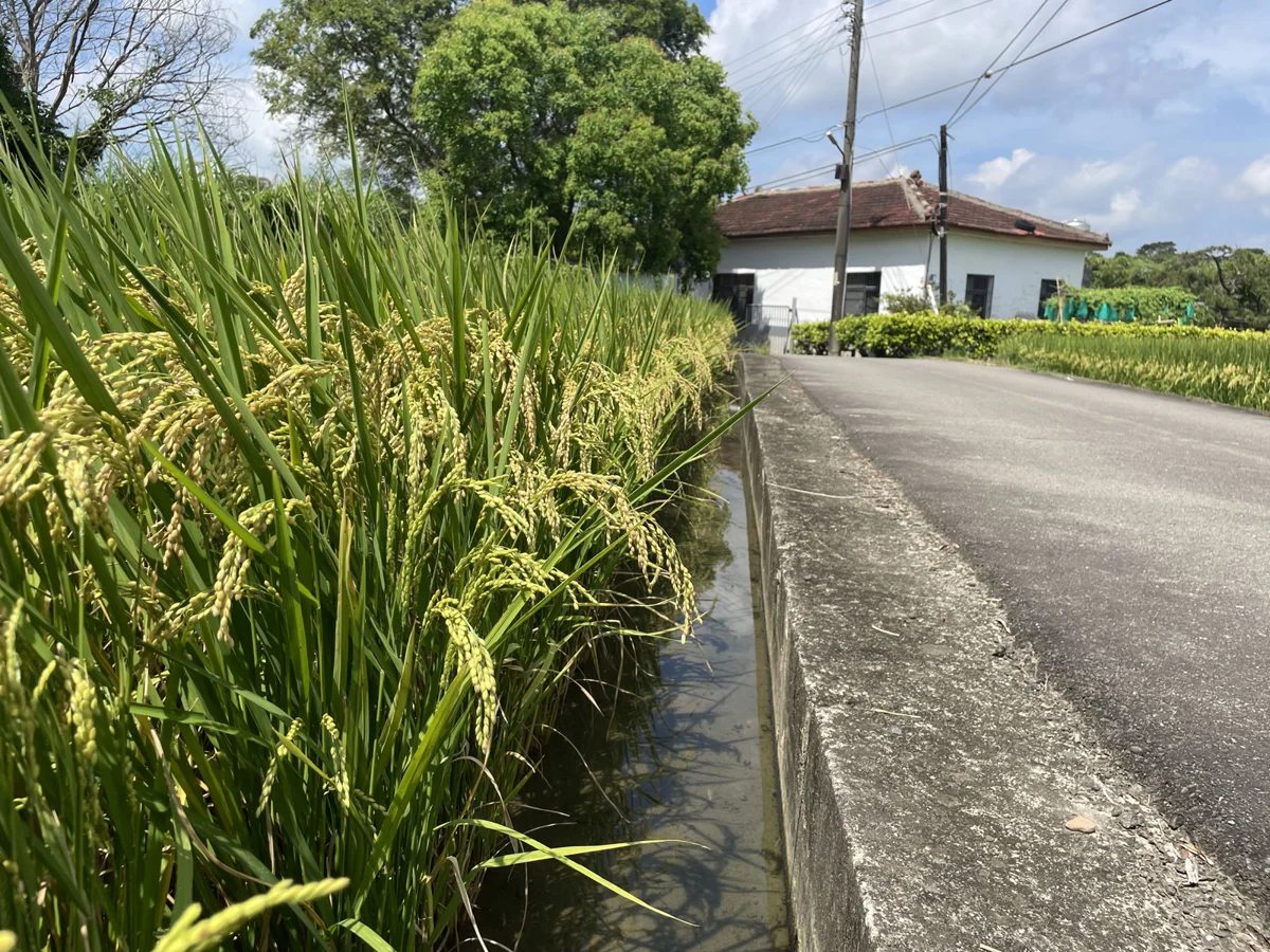 竹科命脈百年揭密!竹東圳古蹟日推「實境解謎」 免費走讀即刻報名