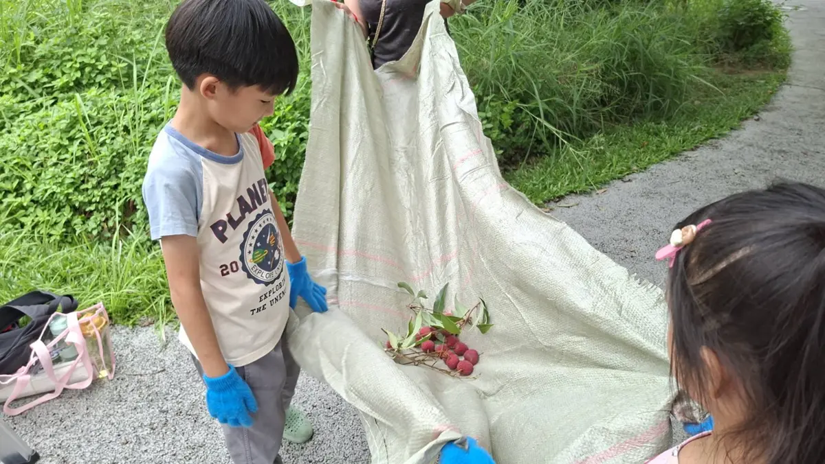 圖片來源:臺中市政府