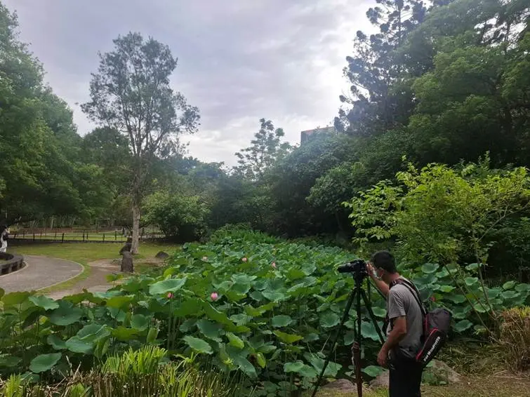 圖片來源:臺北市政府
