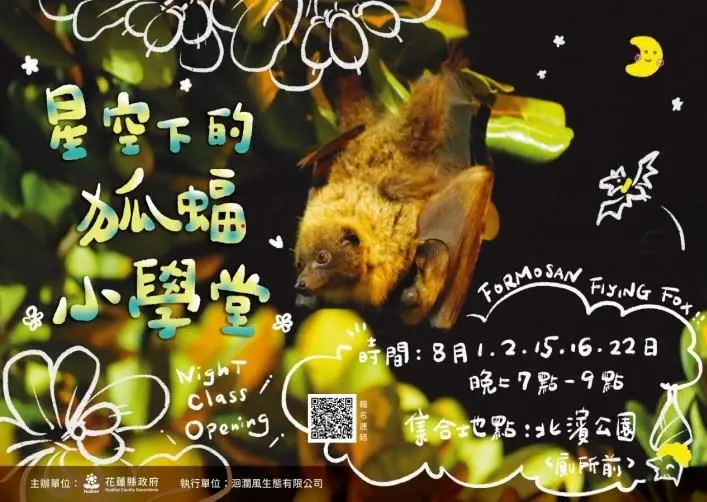 花蓮夜間活動 挖掘狐蝠奧秘