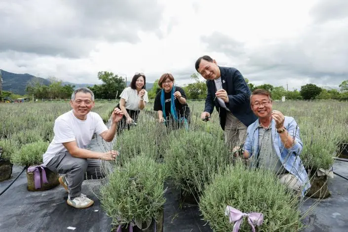 臺東客家園區大變身！全台首座「香草六級產業示範園區」插旗池上