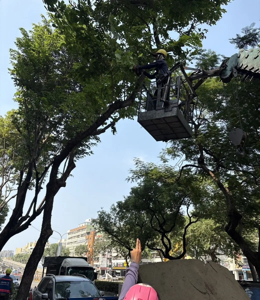 圖片來源:高雄市政府