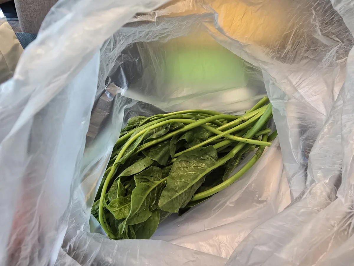 圖片來源:臺北市政府