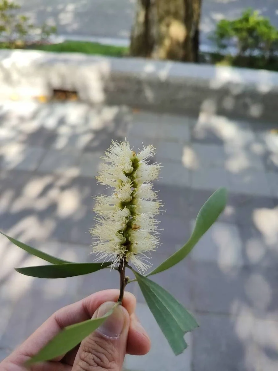 圖片來源:臺北市政府