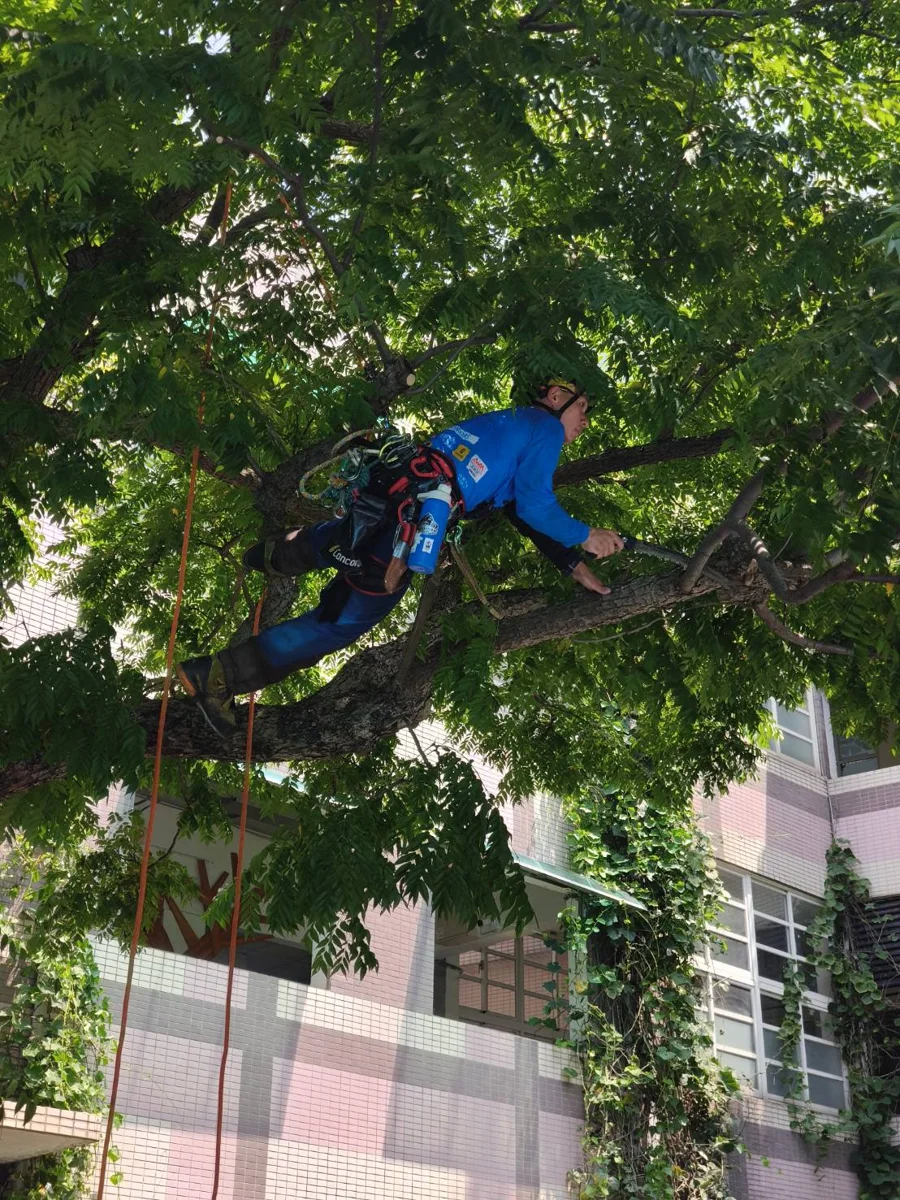 圖片來源:臺北市政府
