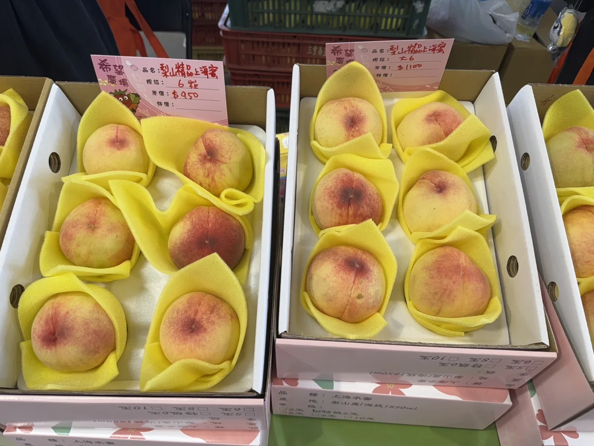 圖片來源:臺中市政府
