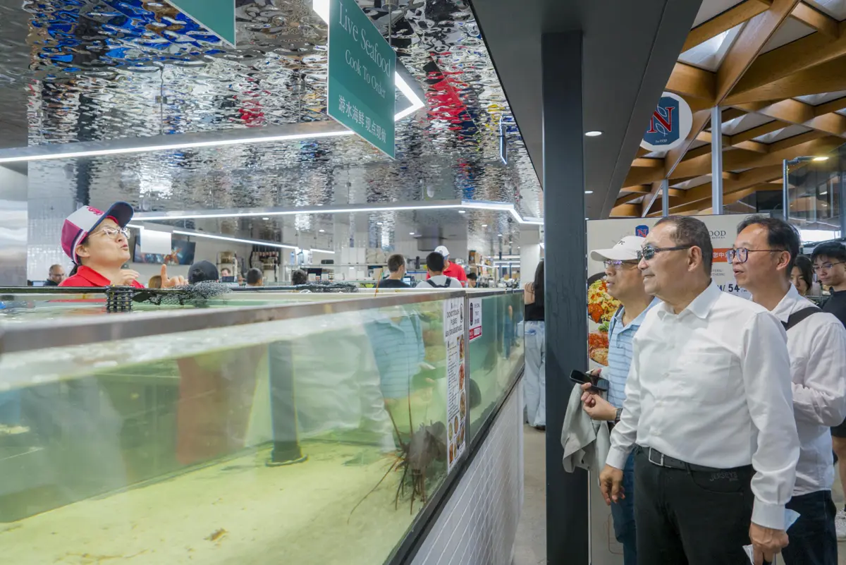 圖片來源:新北市政府