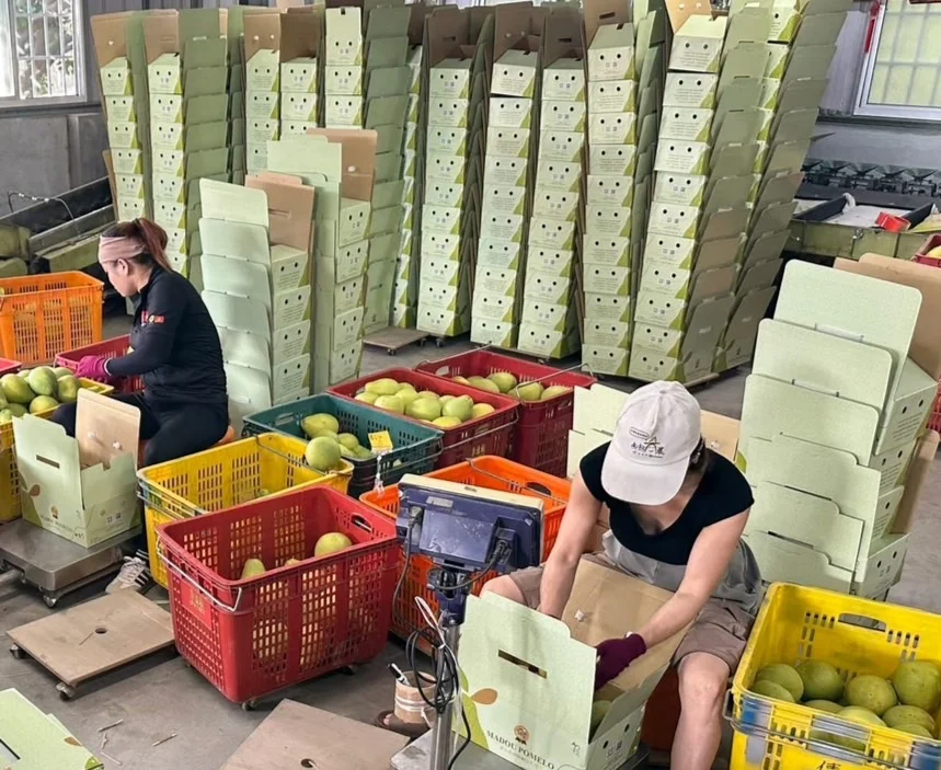 圖片來源:臺南市政府