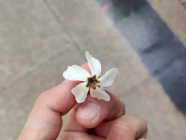 圖片來源:臺北市政府