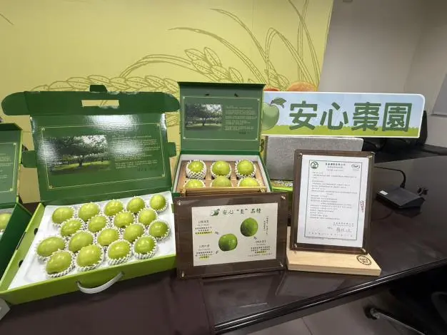 臺南蜜棗產季到!清脆多汁正對時 市府掛保證「3大通路」直送到家