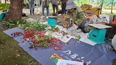 圖片來源:臺中市政府