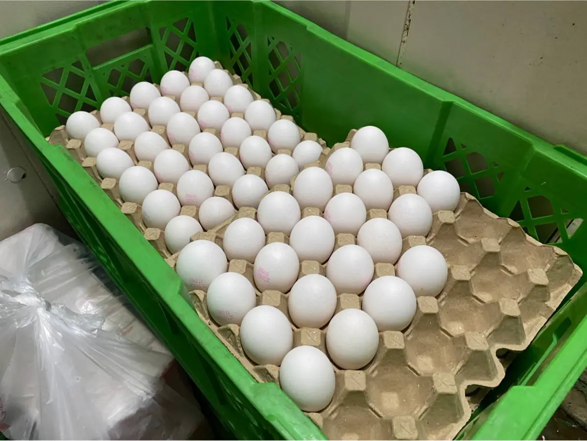 圖片來源:臺中市政府