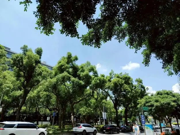 圖片來源:臺北市政府
