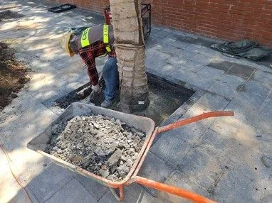 圖片來源:臺北市政府