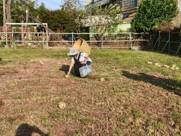 圖片來源：臺南市政府