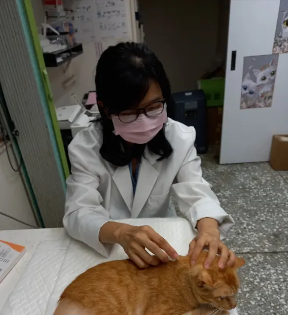 圖片來源:新北市政府