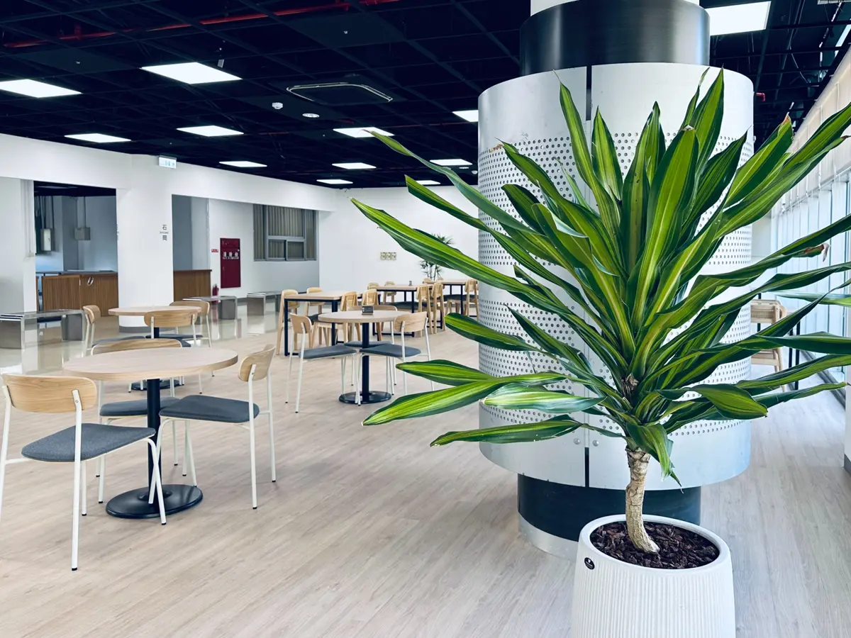 圖片來源:臺中市政府