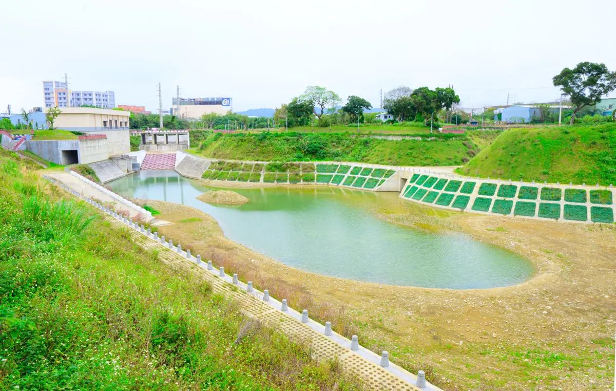 八德新地標啟用！大仁滯洪池不只防洪，更是親子休閒、生態教育新秘境