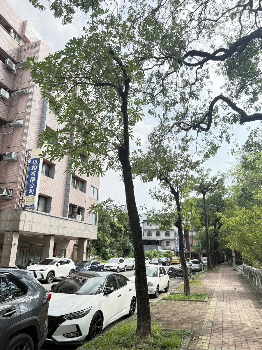 圖片來源:臺中市政府