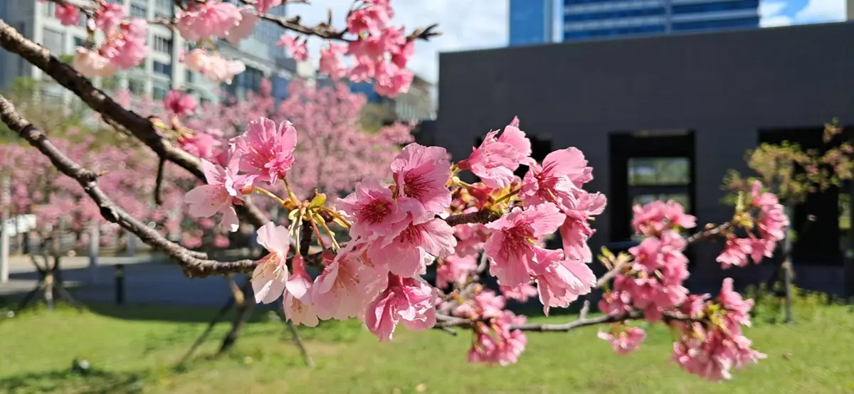 圖片來源：臺北市政府