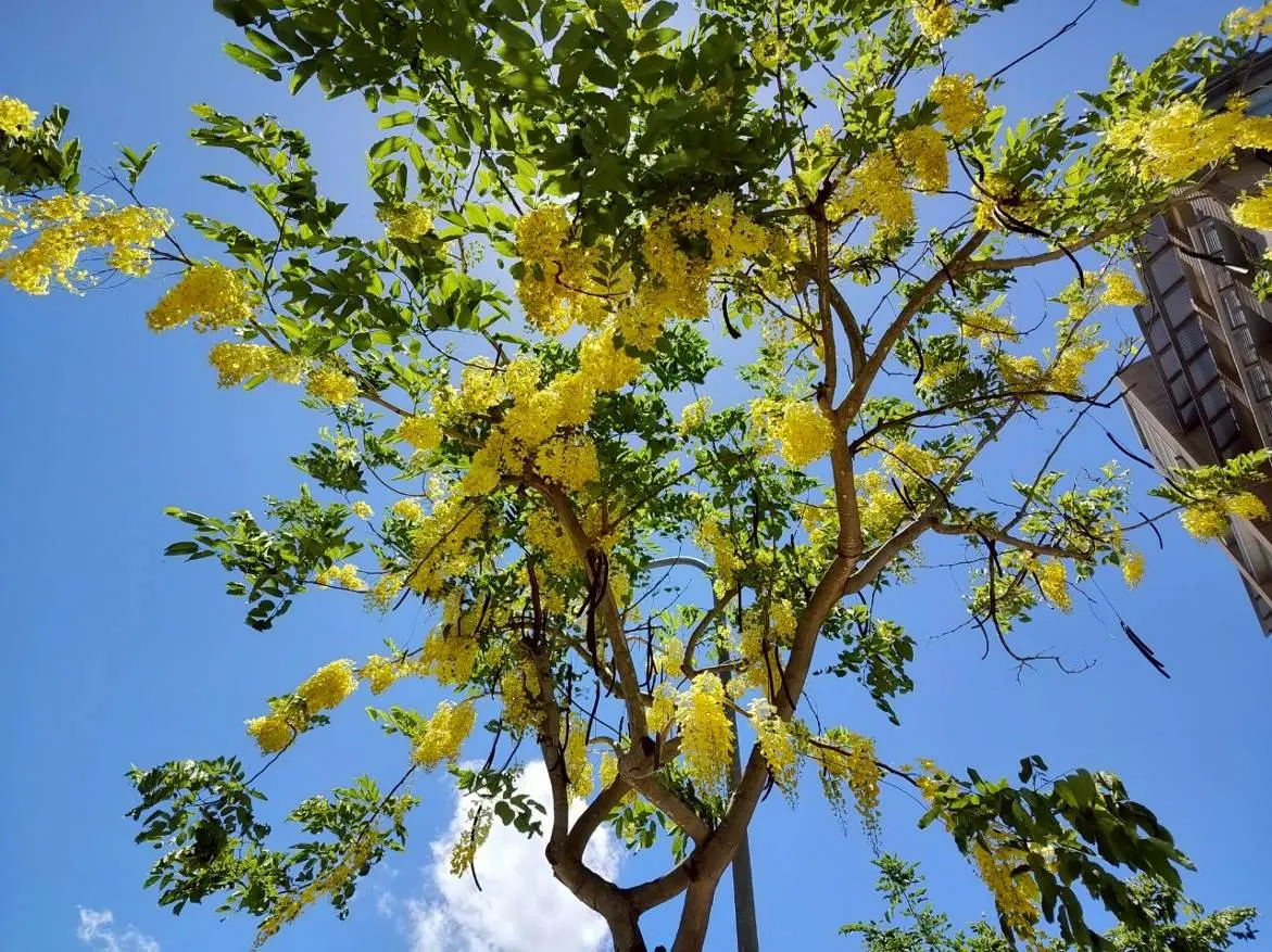 圖片來源:臺北市政府
