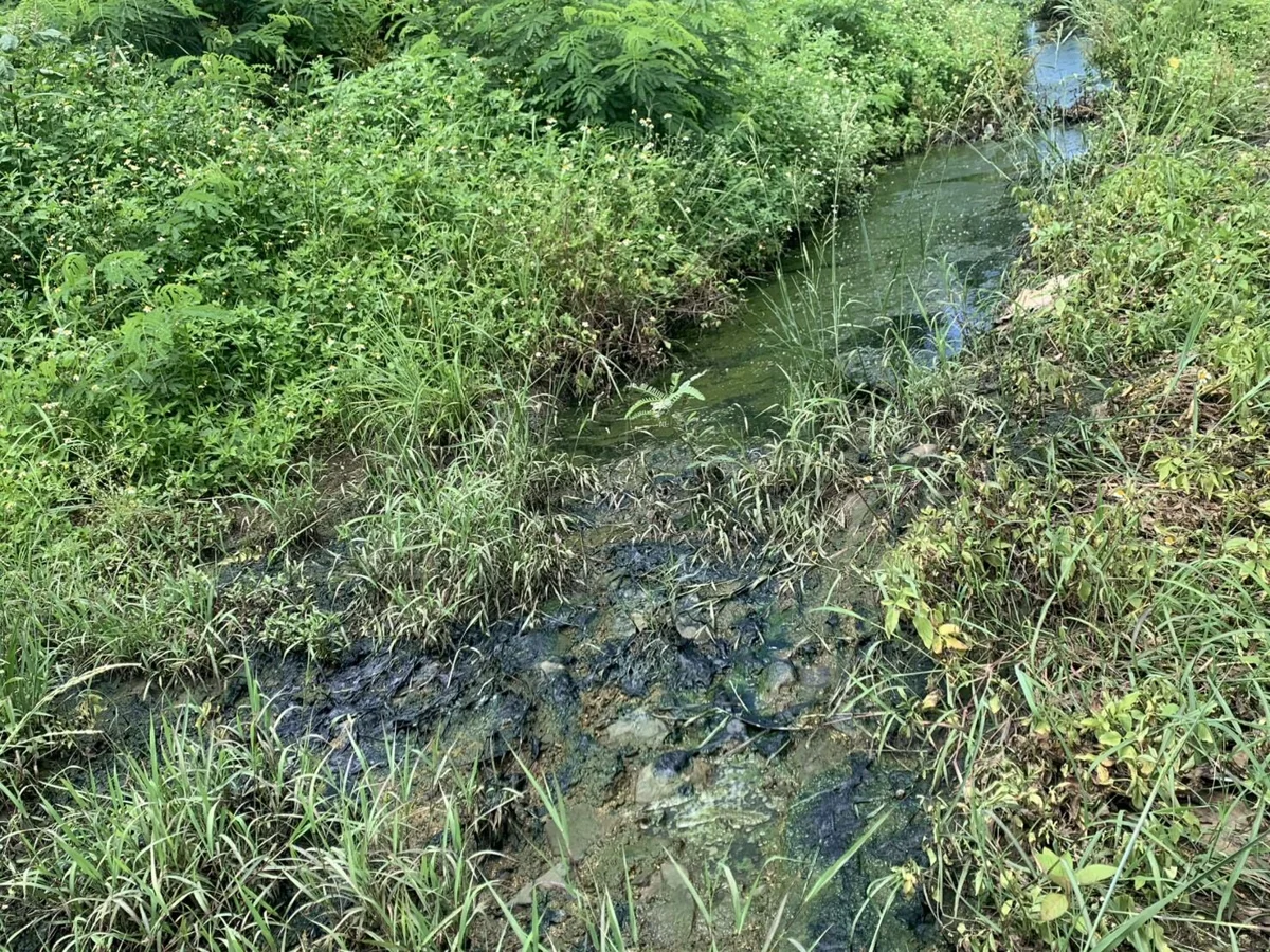 圖片來源:澎湖縣政府