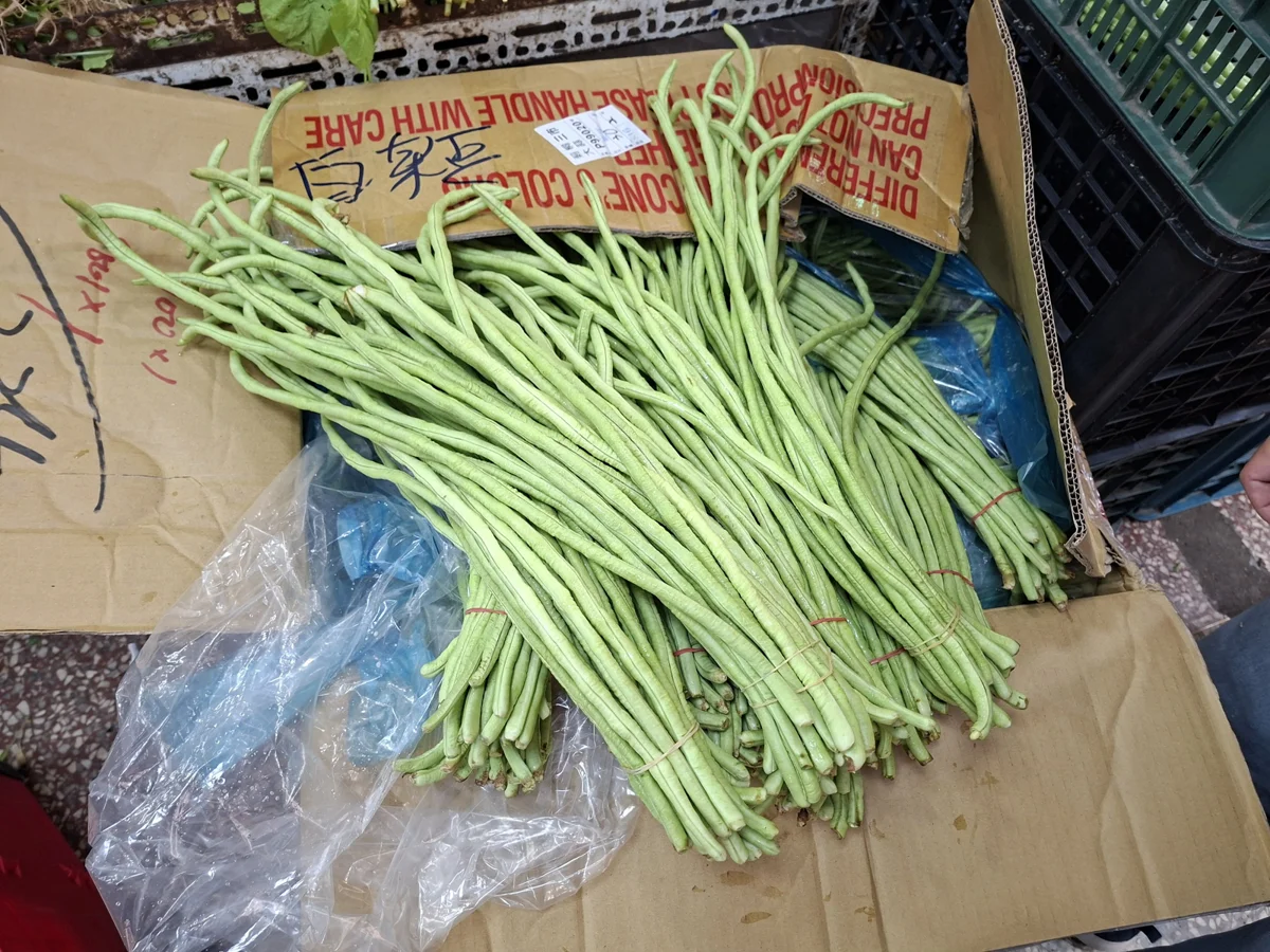 圖片來源:臺北市政府