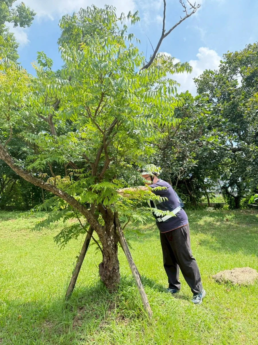圖片來源:臺北市政府
