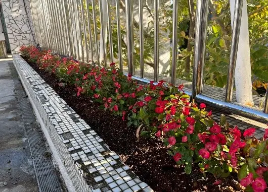 圖片來源:新竹市政府
